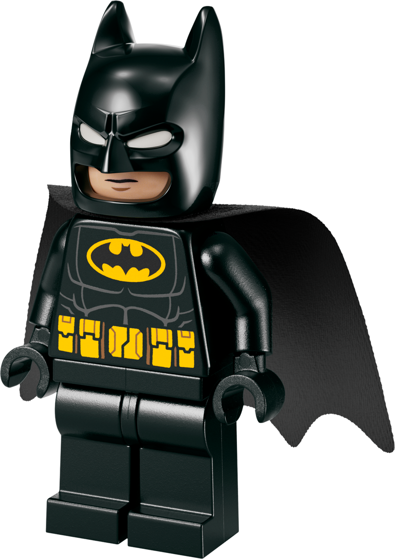 LEGO Batman &amp; Batmobile Vs Mr. Freeze 76301 Batman (Delivery: January 2025)