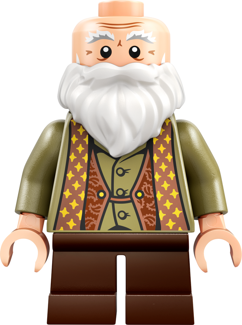 LEGO Hogwarts Castle Spellcasting Lesson 76442 Harry Potter (Pre-Order: January 2025)