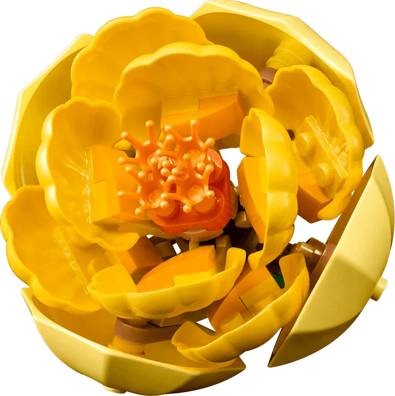 LEGO Blumenarrangement 10345 Botanische Sammlung