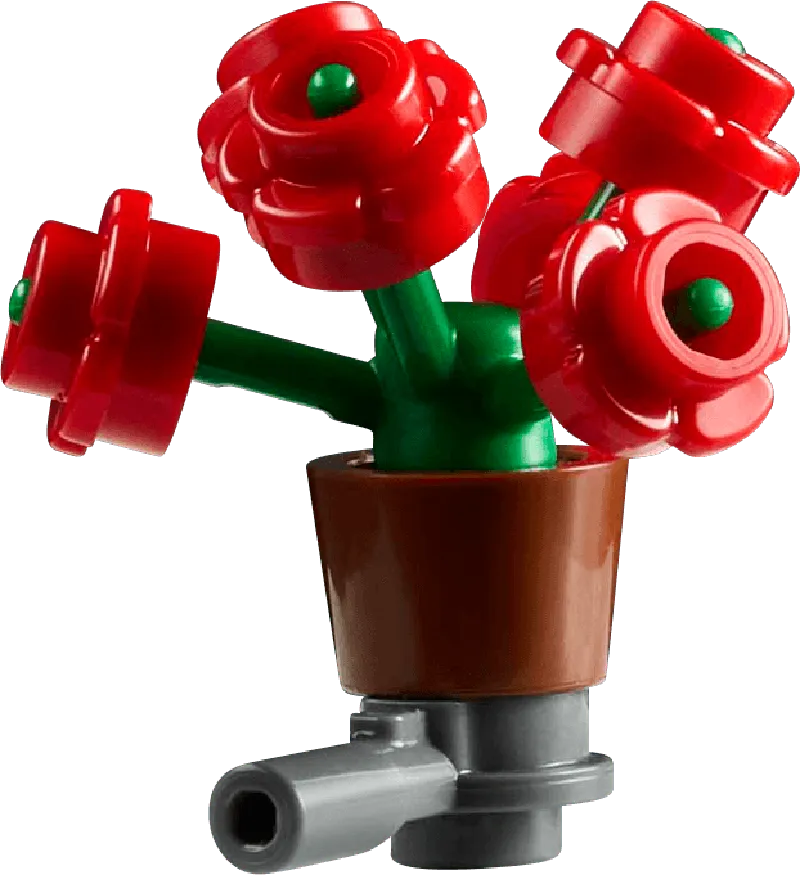 LEGO Garden with Fountain 10359 Icons