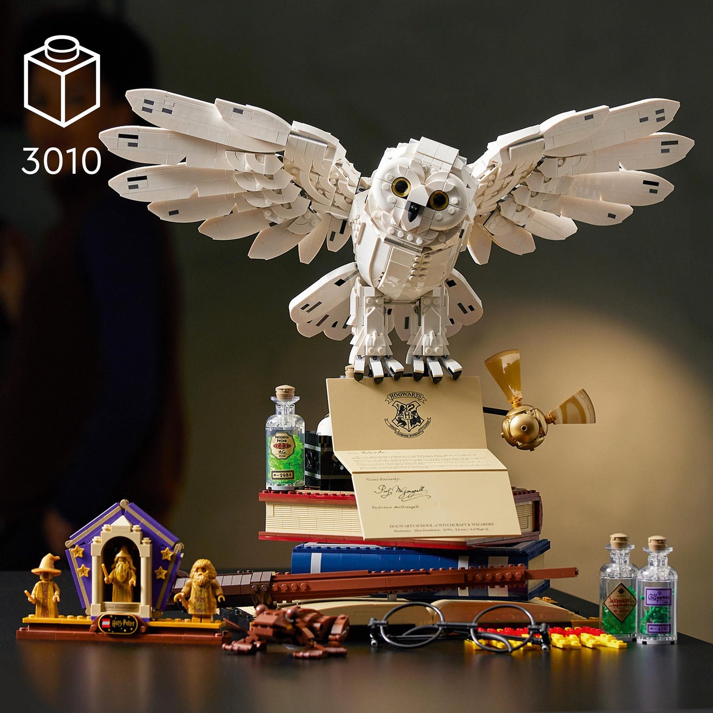 LEGO Hogwarts-Ikonen – Sammleredition 76391 Harry Potter