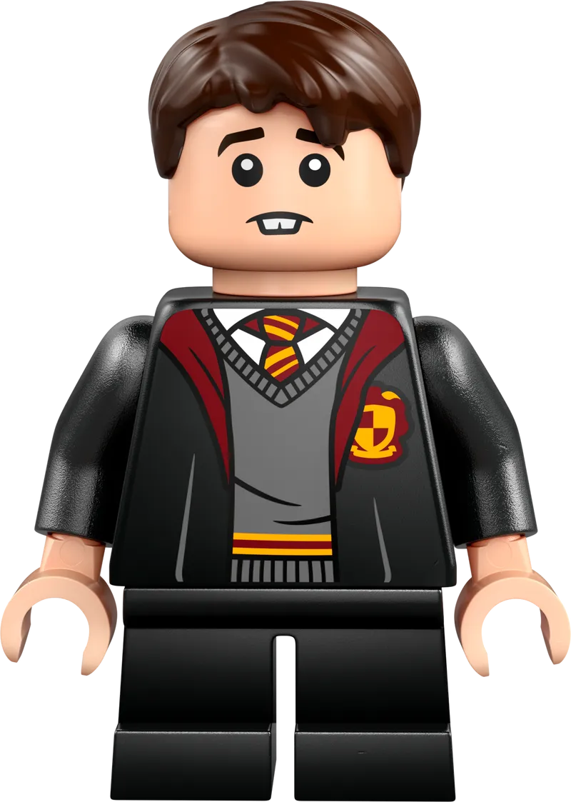 LEGO Vliegles bij Kasteel Zweinstein 76447 Harry Potter