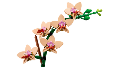 LEGO Mini Orchid 10343 Botanical Collection