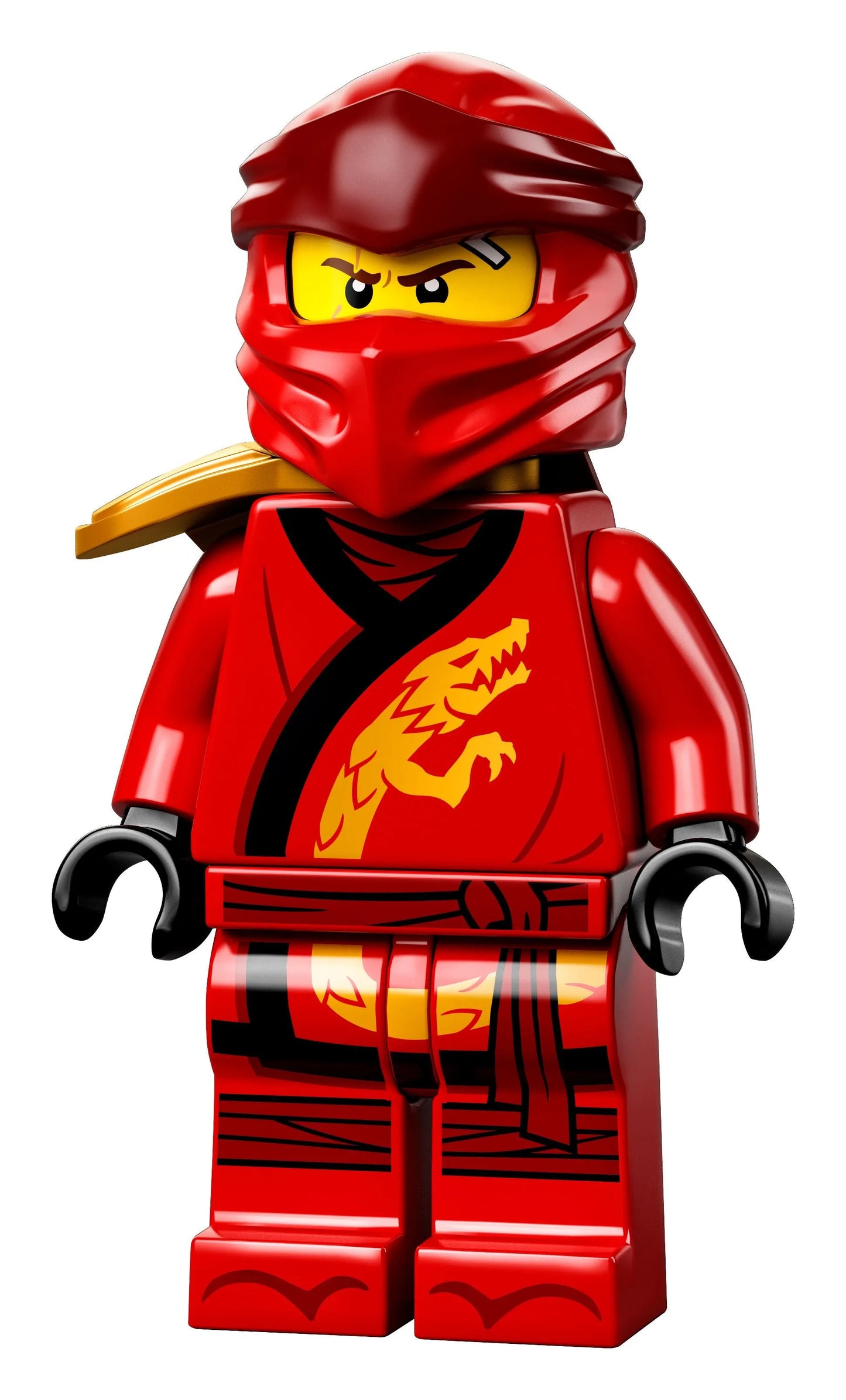 LEGO Ninjago City Gardens / The gardens of Ninjago City 71741 Ninjago