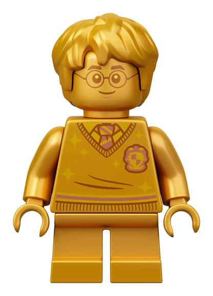 LEGO Polyjuice Potion Mistake einschließlich Golden Harry Potter 76386 Harry Potter