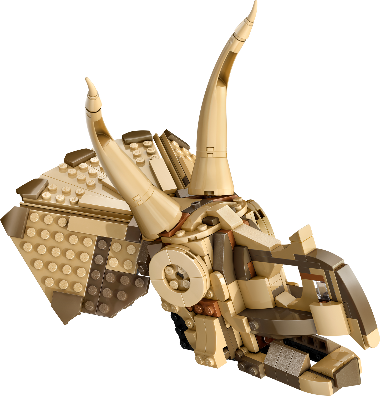 LEGO76969JurassicParkTriceratopsschedel_2TTOYS_Back_01_01