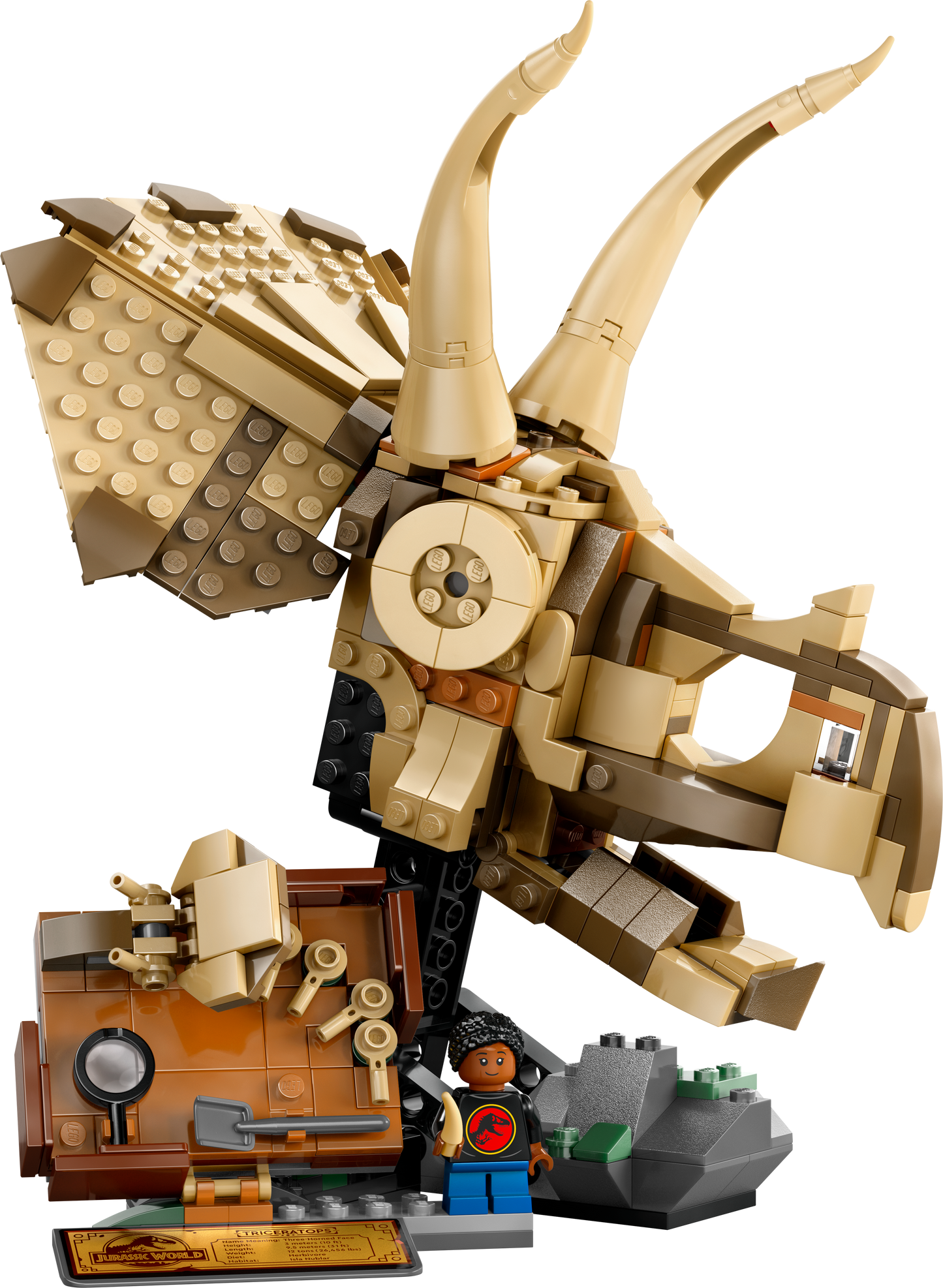 LEGO 76969 Jurassic Park Triceratops schedel