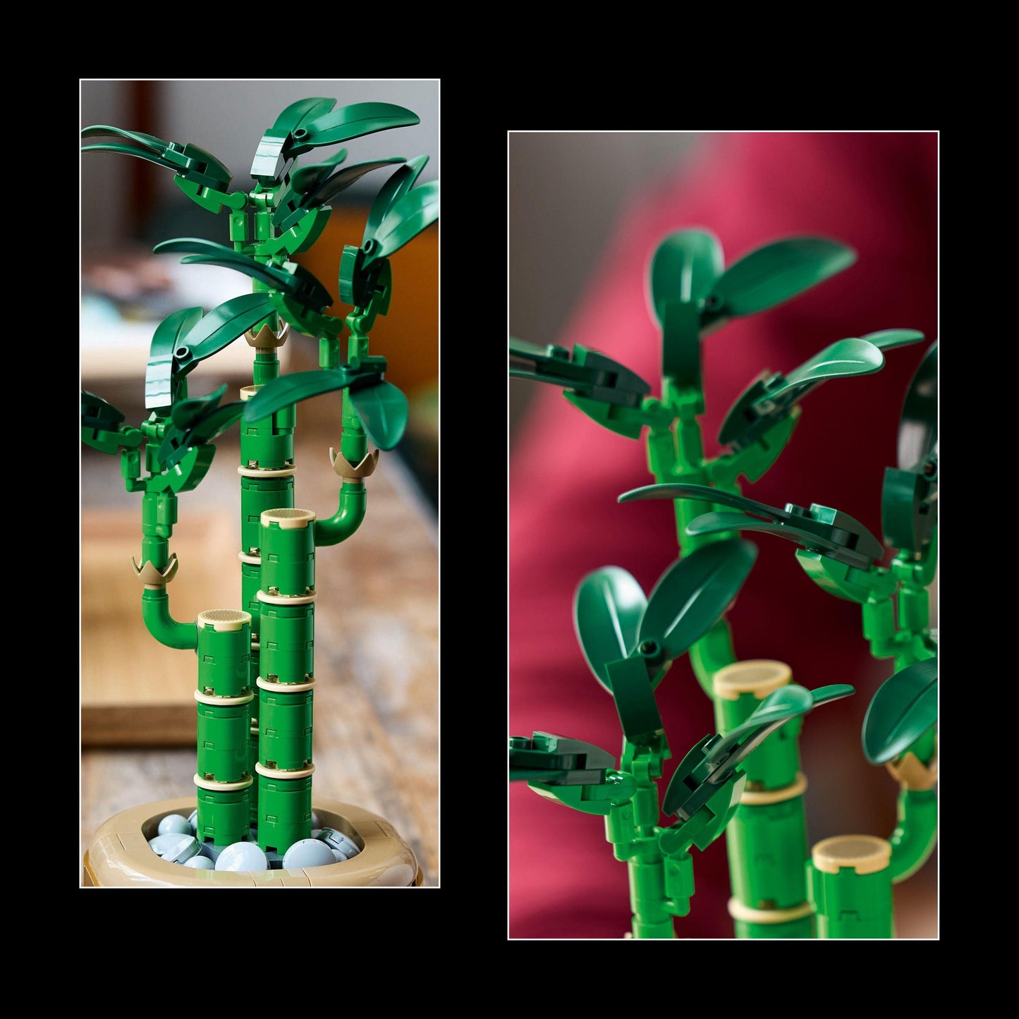 LEGO Glücksbambus 10344 Botanische Sammlung