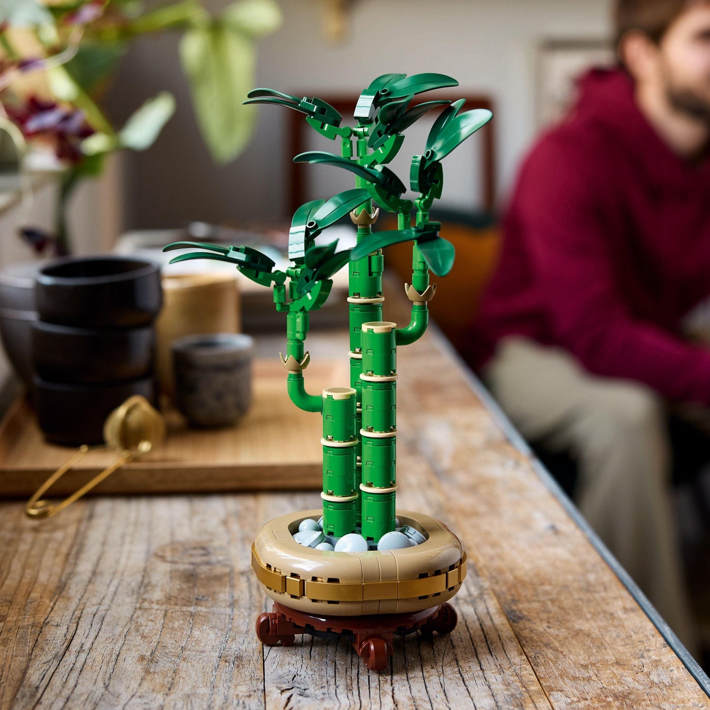 LEGO Lucky Bamboo 10344 Botanical Collection (Delivery: January 2025)