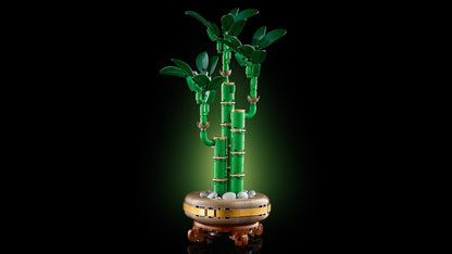 LEGO Glücksbambus 10344 Botanische Sammlung