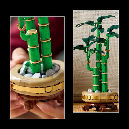 LEGO Lucky Bamboo 10344 Botanical Collection (Delivery: January 2025)