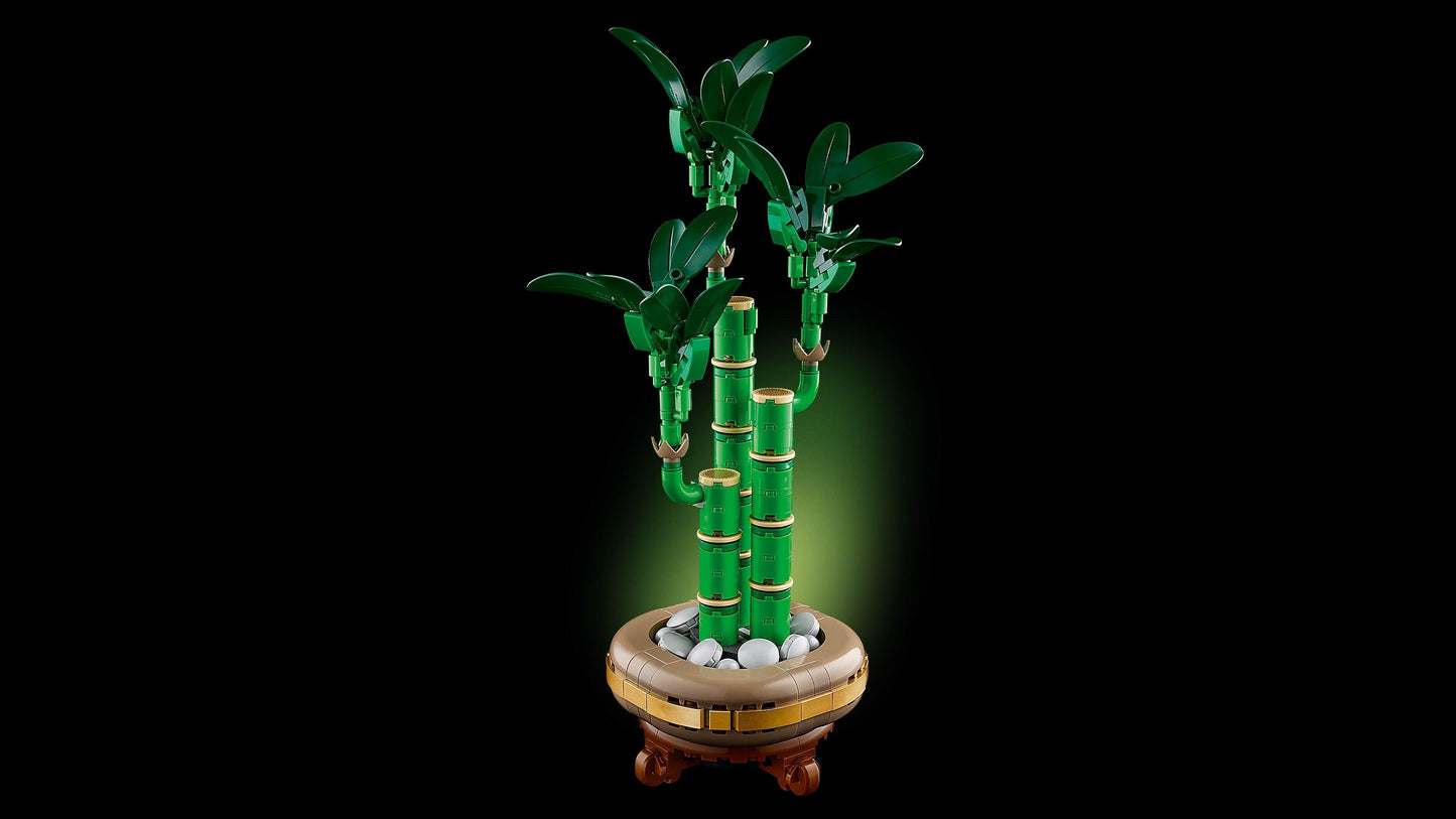 LEGO Lucky Bamboo 10344 Botanical Collection (Delivery: January 2025)