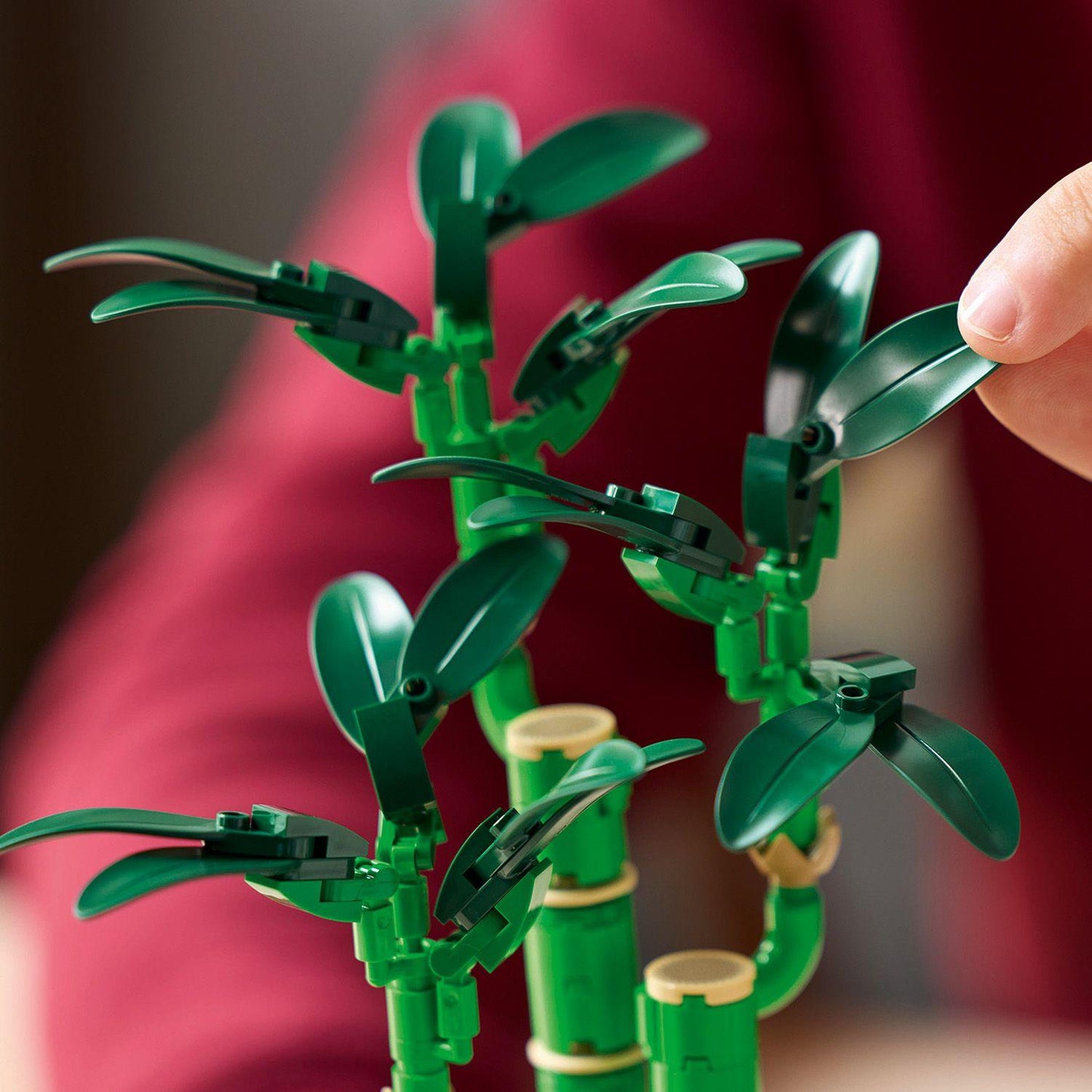 LEGO Lucky Bamboo 10344 Botanical Collection (Delivery: January 2025)