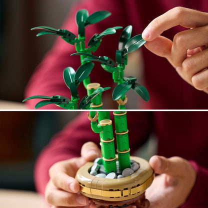 LEGO Lucky Bamboo 10344 Botanical Collection (Delivery: January 2025)