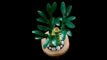 LEGO Lucky Bamboo 10344 Botanical Collection (Delivery: January 2025)