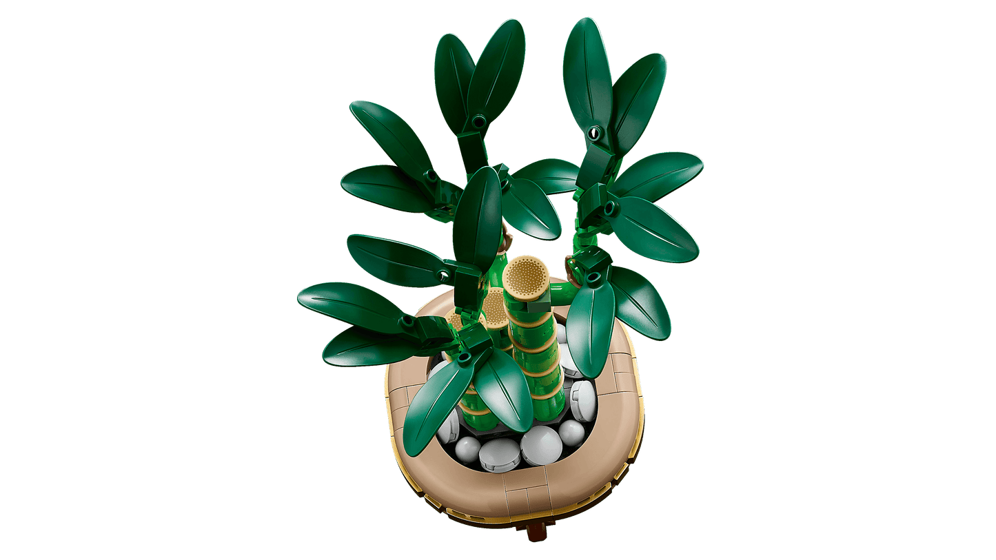 LEGO Geluksbamboe 10344 Botanische Collectie (Levering: Januari 2025) @ 2TTOYS | Official LEGO shop😊🥰 2TTOYS €. 24.99