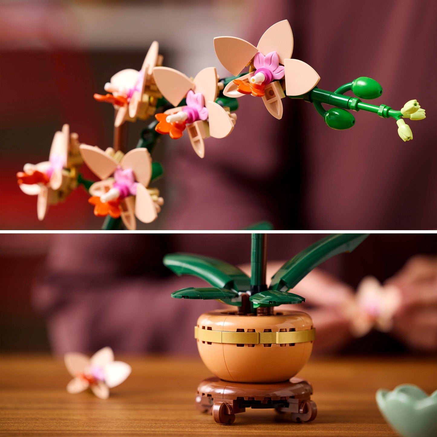 LEGO Mini Orchidee 10343 Botanische Sammlung