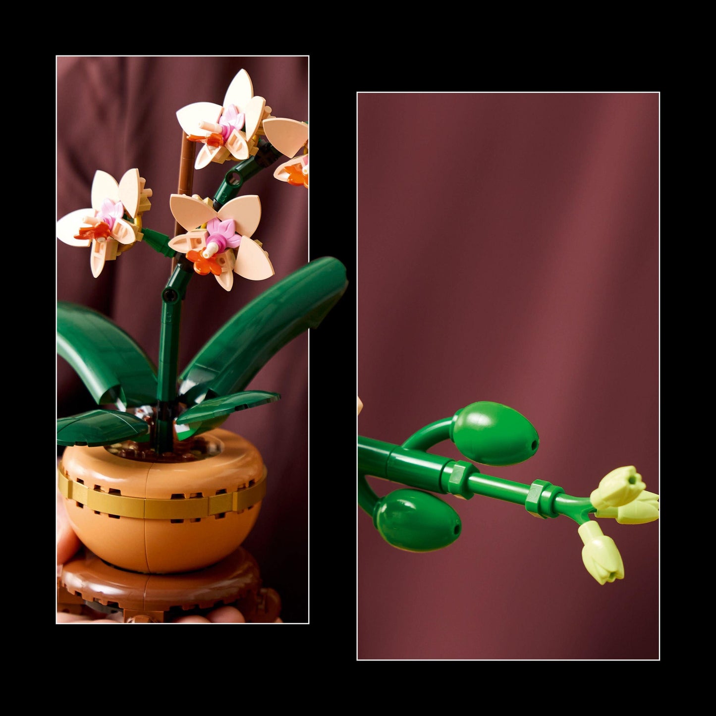 LEGO Mini Orchid 10343 Botanical Collection (Delivery: January 2025)