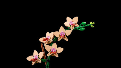 LEGO Mini Orchidee 10343 Botanische Sammlung