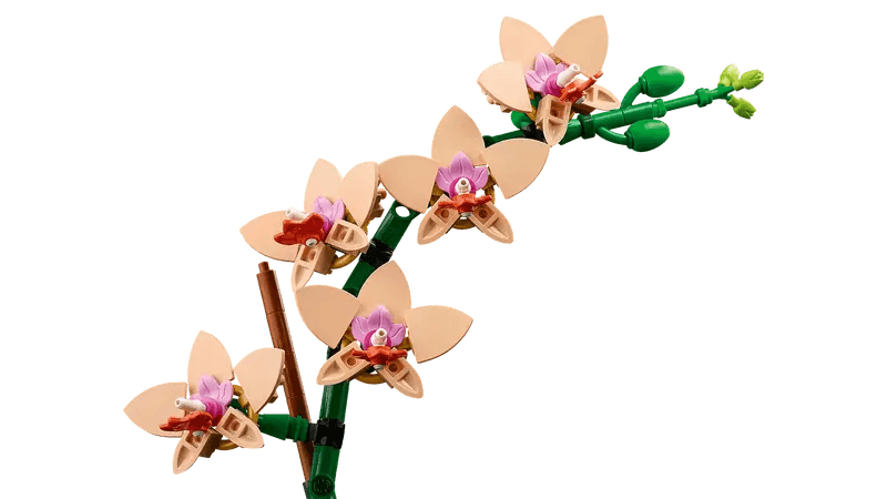 LEGO Mini Orchid 10343 Botanical Collection (Delivery: January 2025)