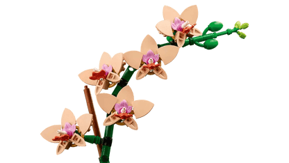 LEGO Mini Orchidee 10343 Botanische Sammlung