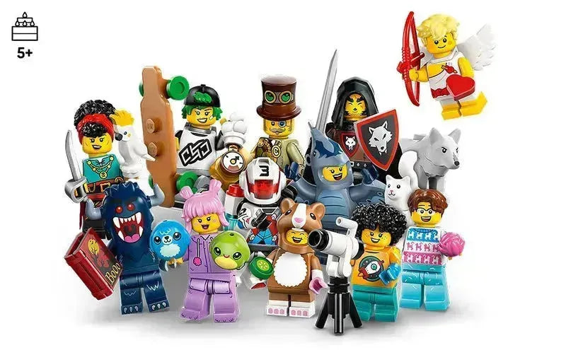 LEGO Minifiguren Serie 27 71048 Minifiguren (12er-Set)