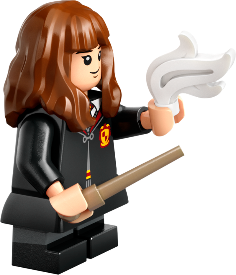 LEGO Hogwarts Castle Spellcasting Lesson 76442 Harry Potter (Pre-Order: January 2025)