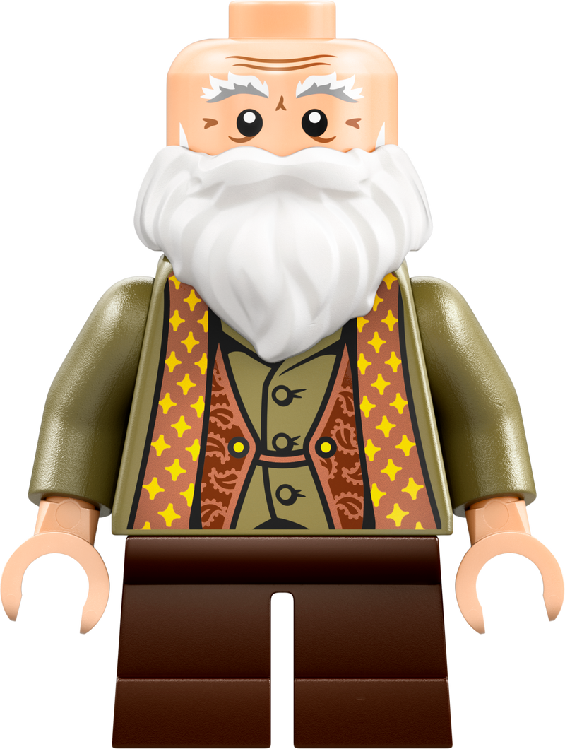 LEGO Hogwarts Castle Spellcasting Lesson 76442 Harry Potter (Pre-Order: January 2025)