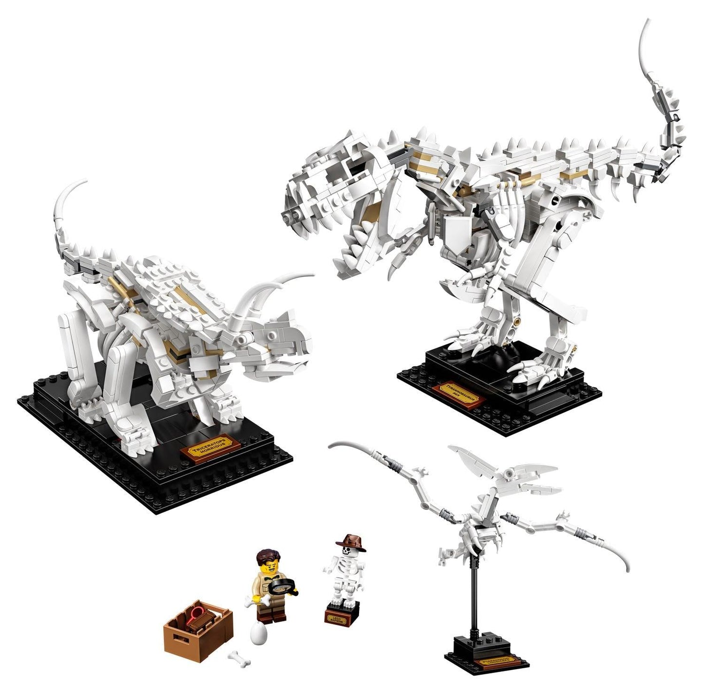 LEGO Dinosaurus fossielen 21320 Ideas LEGO IDEAS @ 2TTOYS | Official LEGO shop😊🥰 LEGO €. 99.99