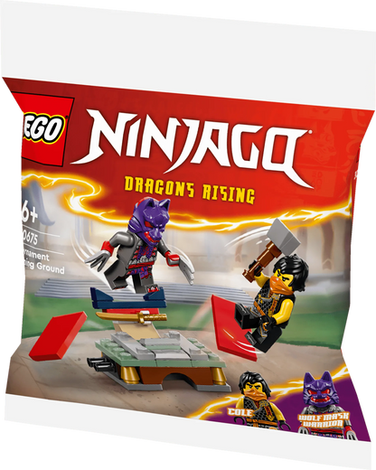 LEGO Toernooi trainingsveld 30675 Ninjago LEGO CREATOR @ 2TTOYS | Official LEGO shop😊🥰 LEGO €. 3.49