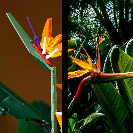 LEGO Bird of Paradise 10289 Creator Expert LEGO CREATOR EXPERT BOTANISCHE COLLECTIE @ 2TTOYS LEGO €. 119.99