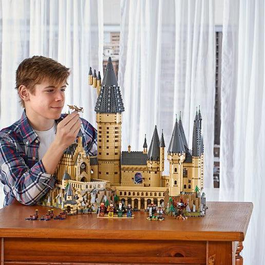 LEGO Het Kasteel Zweinstein met 6.000 stenen 71043 Harry Potter LEGO HARRY POTTER @ 2TTOYS | Official LEGO shop😊🥰 LEGO €. 424.99