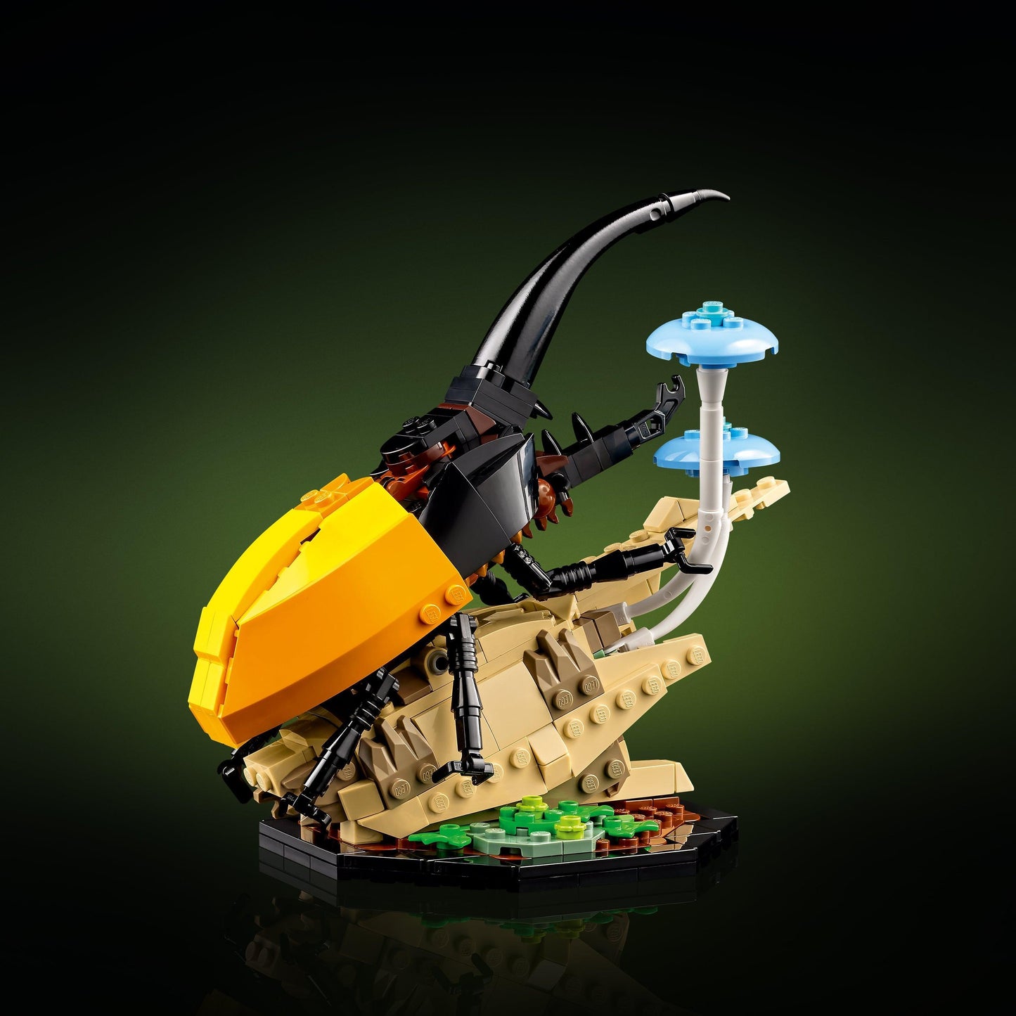 LEGO Insect collection 21342 Ideas LEGO IDEAS @ 2TTOYS LEGO €. 84.99