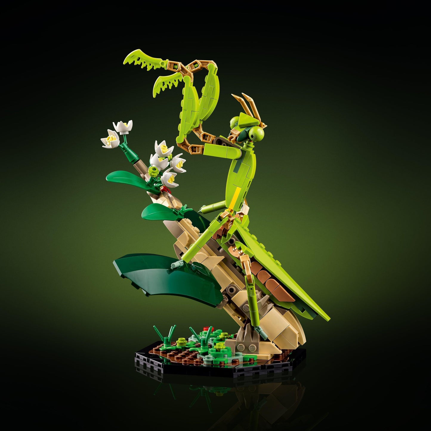 LEGO Insect collection 21342 Ideas LEGO IDEAS @ 2TTOYS LEGO €. 84.99