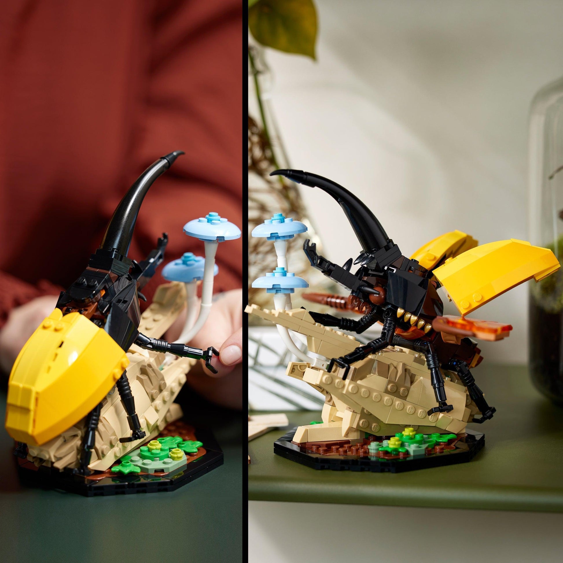 LEGO Insect collection 21342 Ideas LEGO IDEAS @ 2TTOYS LEGO €. 84.99