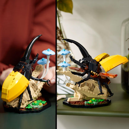 LEGO Insect collection 21342 Ideas LEGO IDEAS @ 2TTOYS LEGO €. 84.99