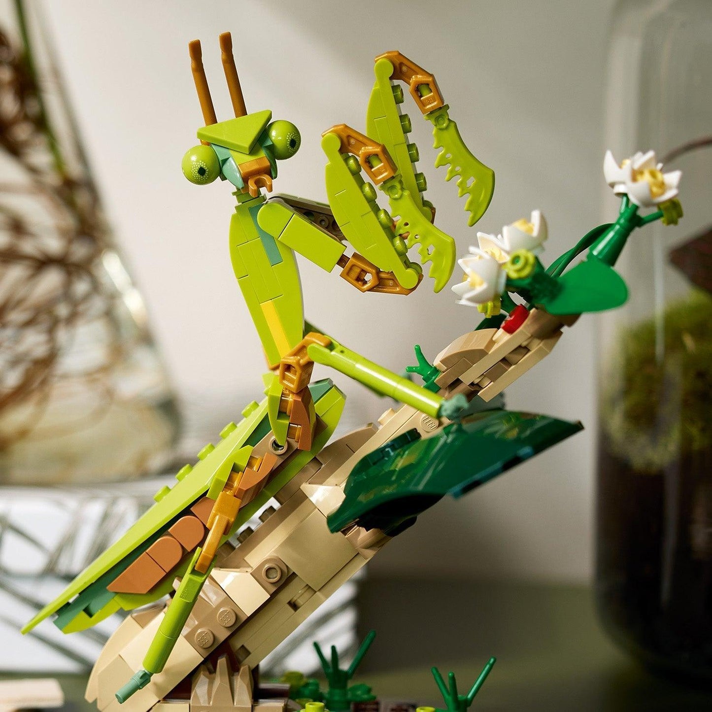 LEGO Insect collection 21342 Ideas LEGO IDEAS @ 2TTOYS LEGO €. 84.99