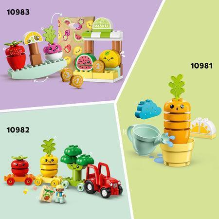 LEGO Organic Garden 10984 DUPLO LEGO DUPLO @ 2TTOYS LEGO €. 44.99